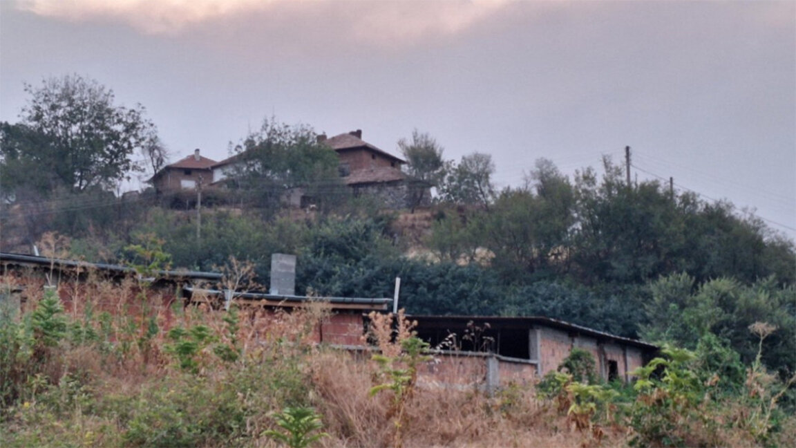 Les feux de forêt dans le Pirin ont été fixés...