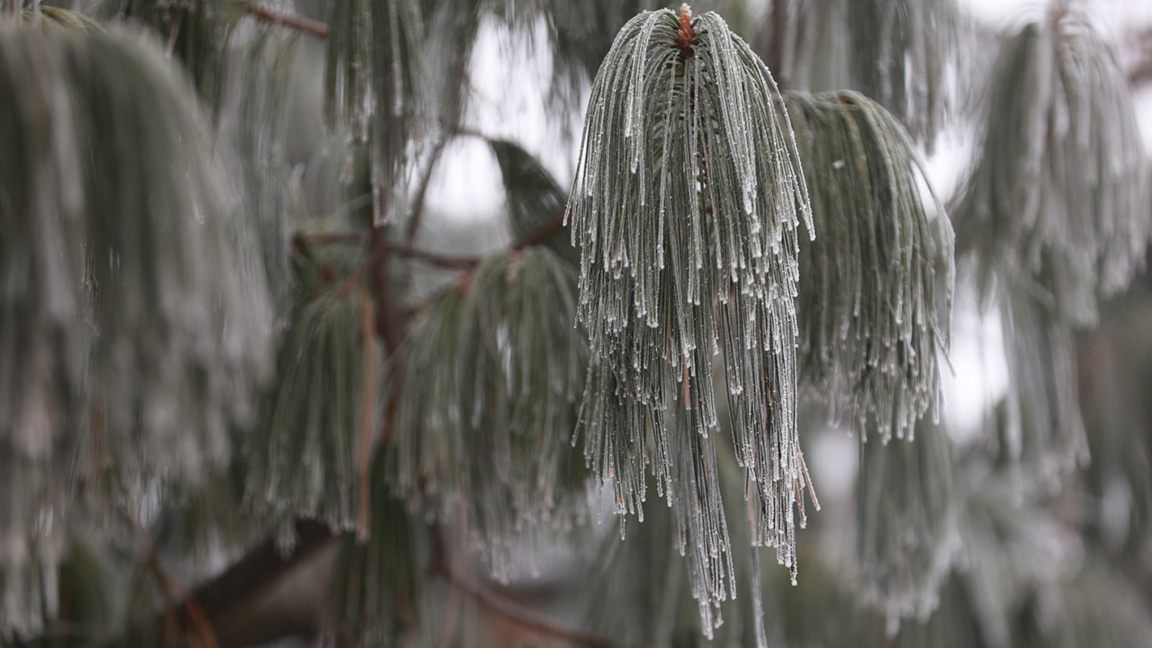 Wetteraussichten für Dienstag, den 20. Januar