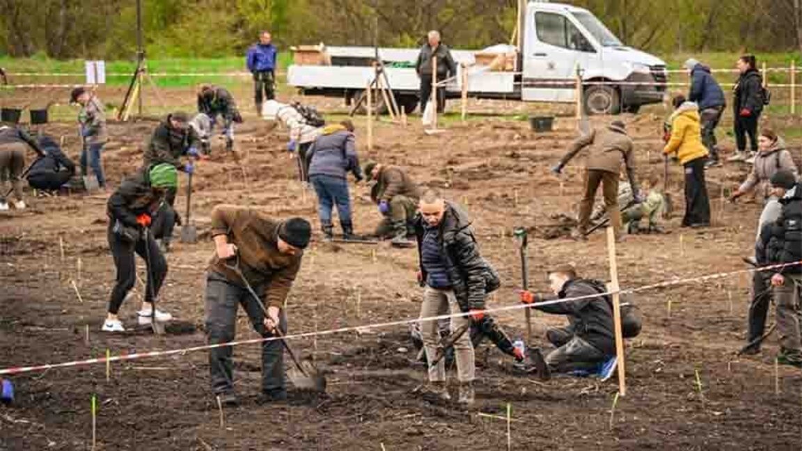 Новата гора на София се разширява с хиляди дръвчета край Бусманци