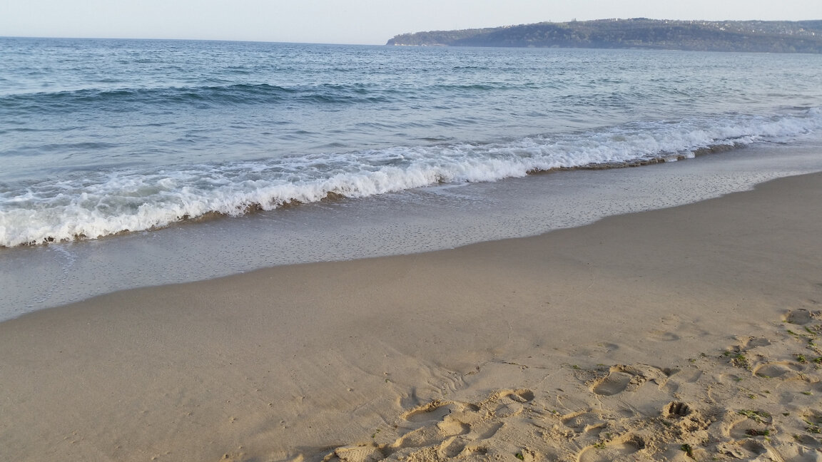 Un tiburón aparece en la playa de Burgás
