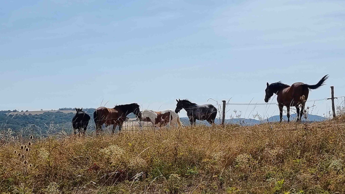 Ηλιοφάνεια με βορειοανατολικό άνεμο - από μείον 5 έως 15 βαθμούς Κελσίου