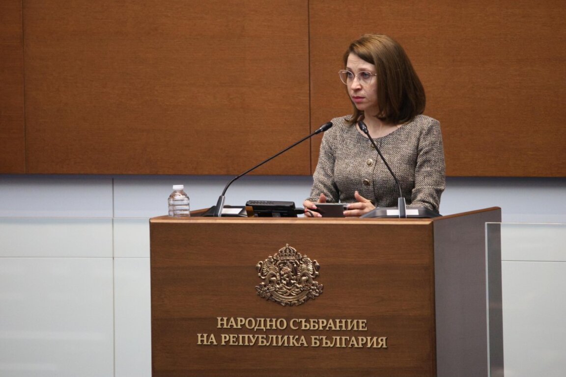 Искра Михайлова в НС.