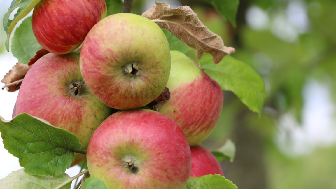 Илюстративна снимка