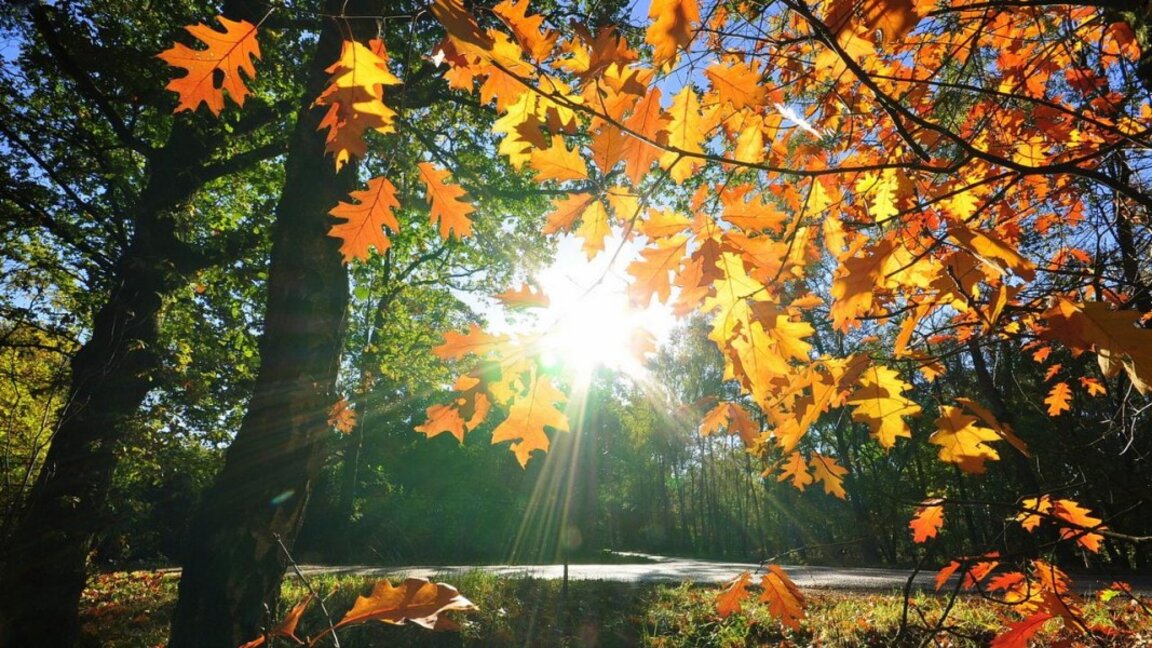 Времето на 5-ти октомври, без дъжд и около 20 градуса