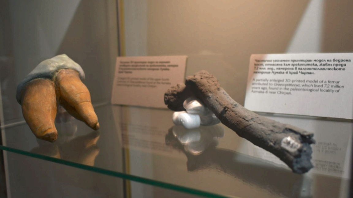 Le berceau de l'humanité est plutôt dans les Balkans, déclare un archéologue