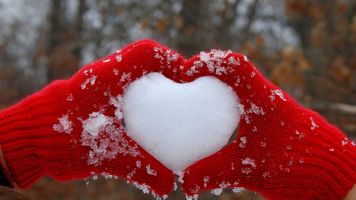 Търговище грейва днес