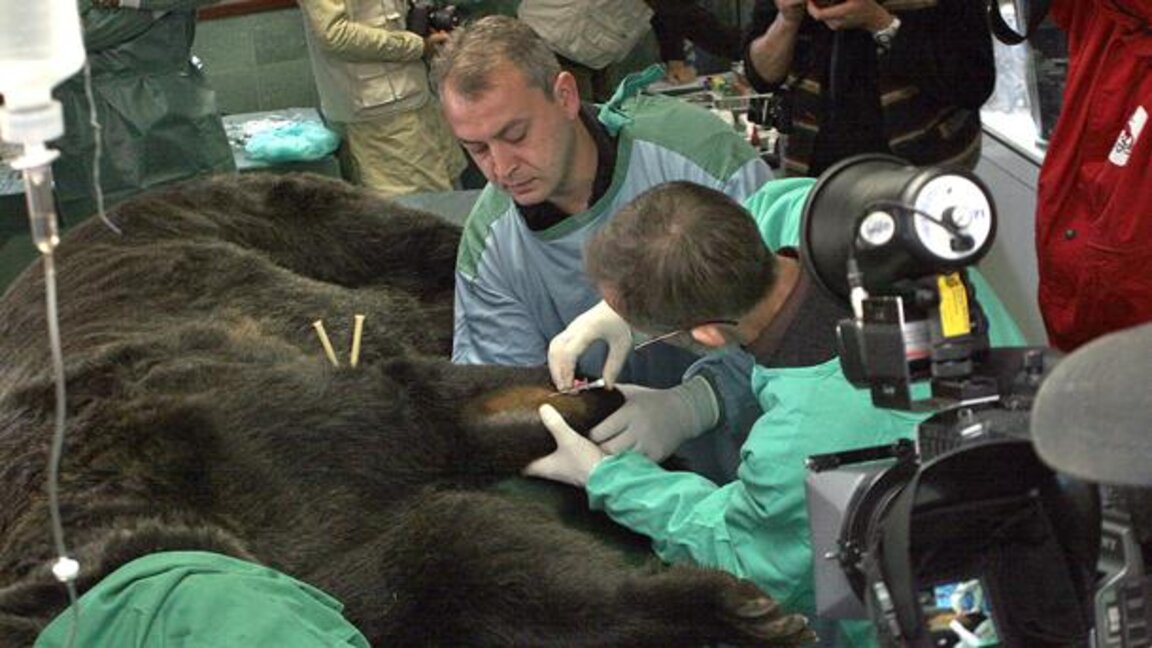 Първи ветеринарен факултет в Северна България – Пордим става студентско градче