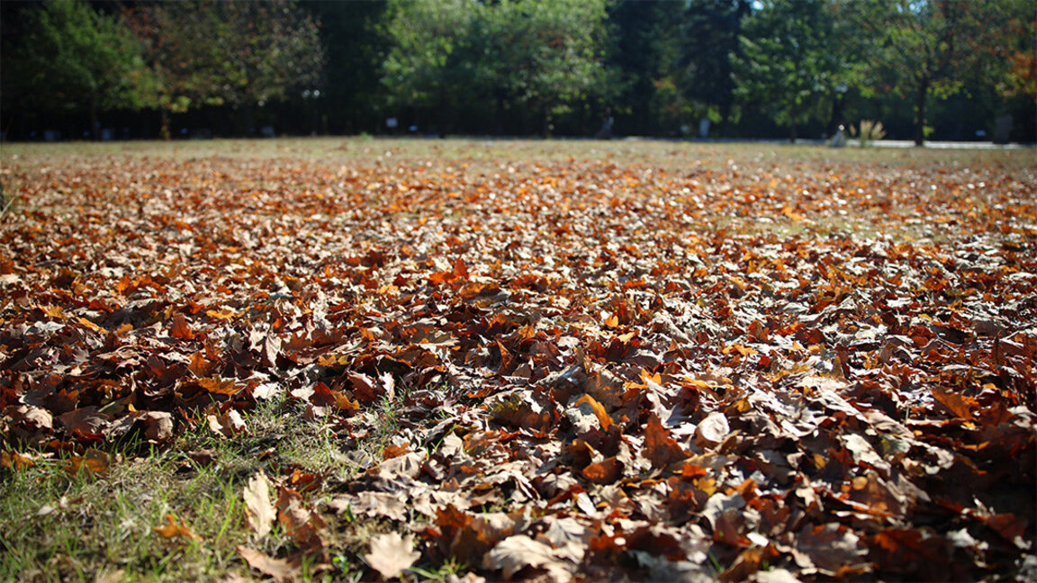 Временска прогноза за среду, 18. септембар