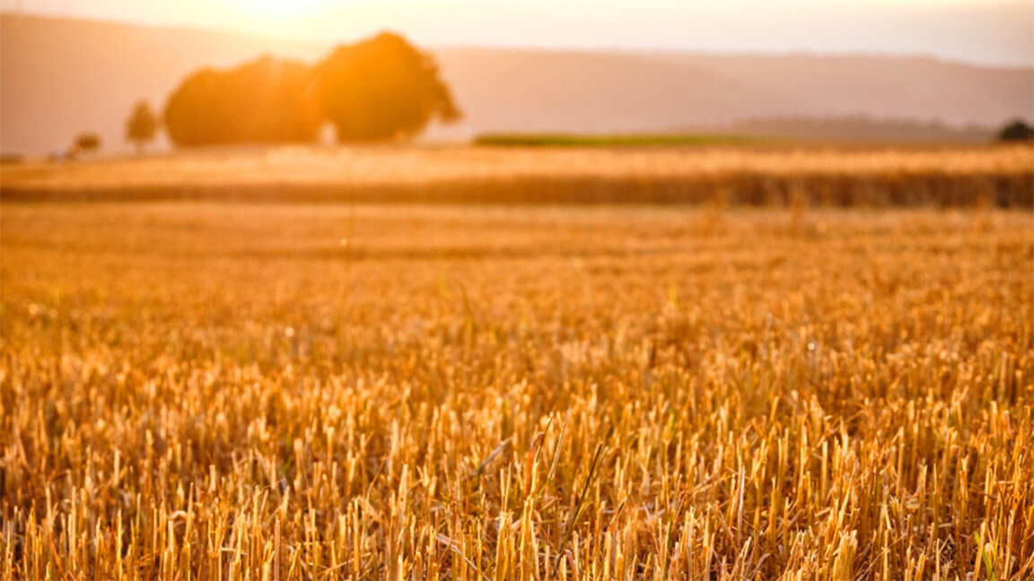 Почињу Горешњаци