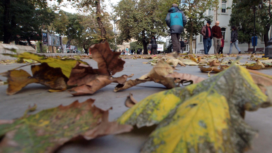 Жълт код за вятър в почти цялата страна