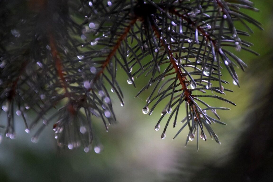 Météo : Pluie, vent et neige en montagne…