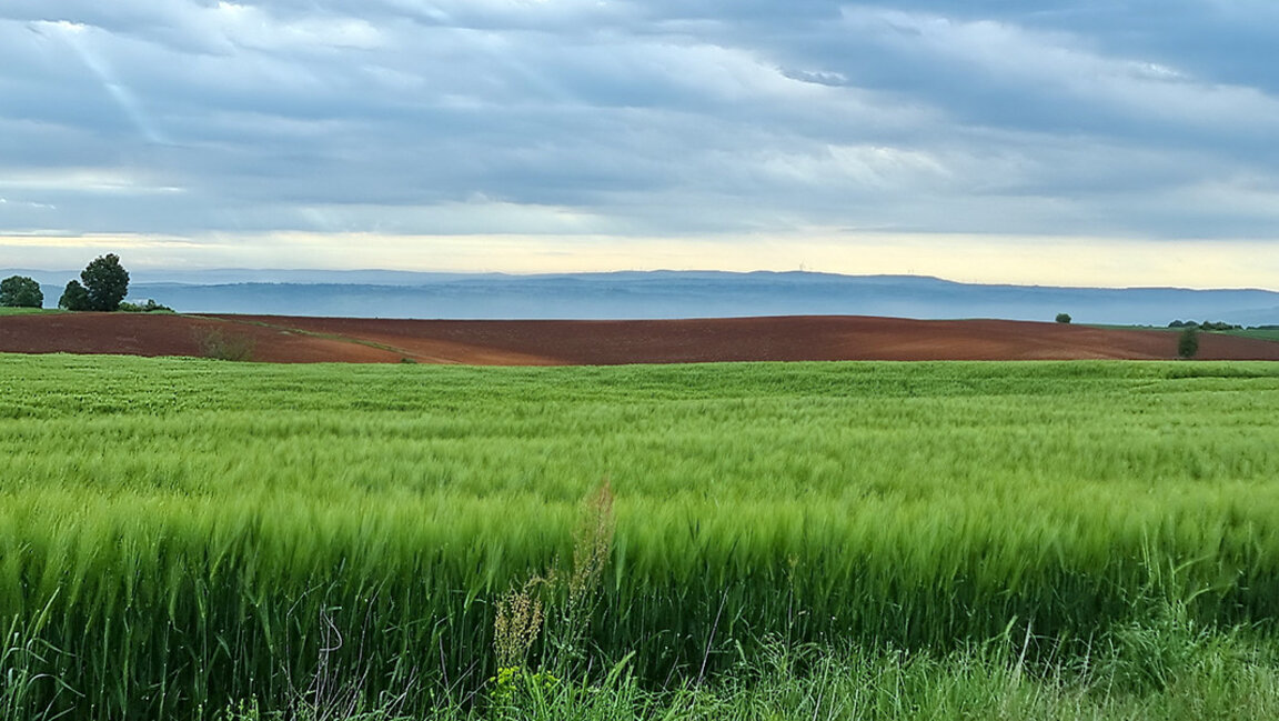 Временска прогноза за суботу, 24. мај