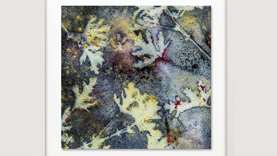 Foto: FB/Museum of Photography Kazanlak