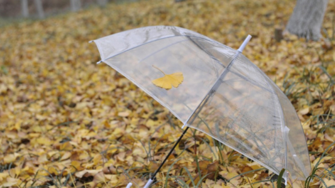 “Вход свободен” между театъра и музиката