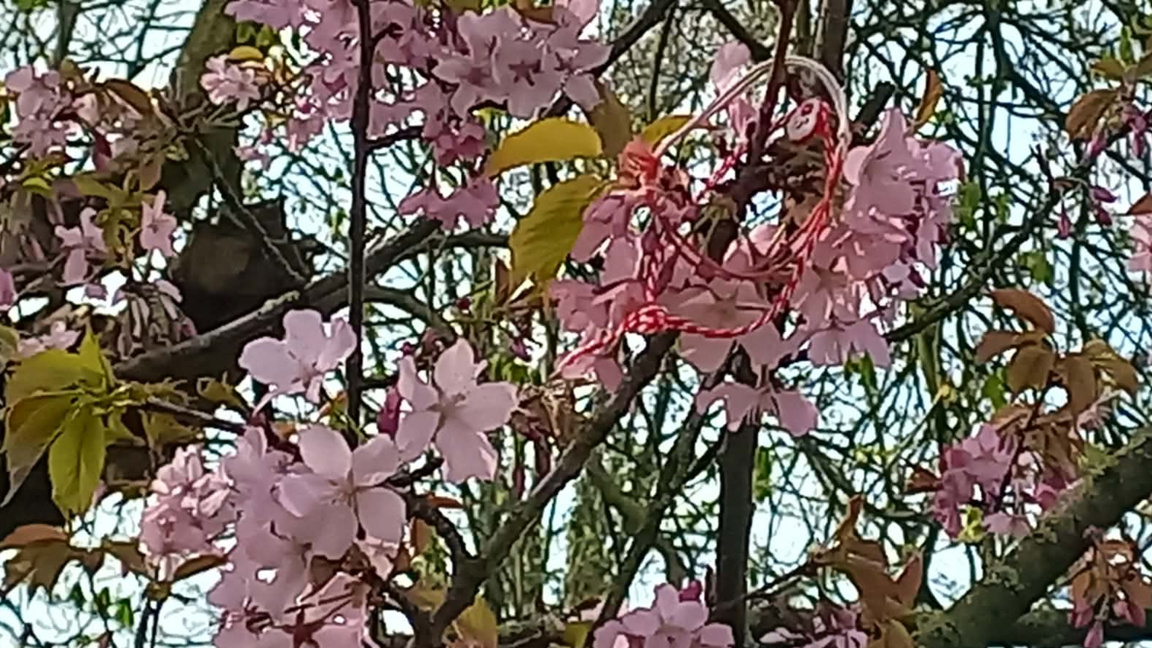 И в петък с Радио Шумен...