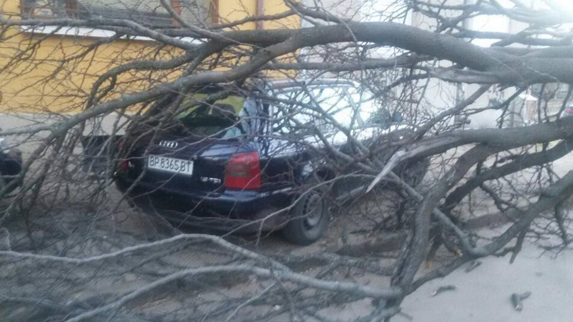 Снимката е илюстративна