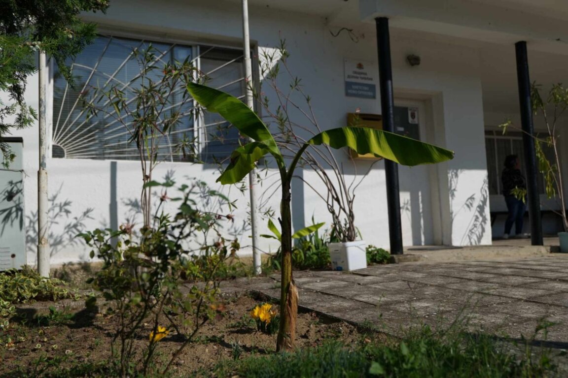 На село в Ново Оряхово