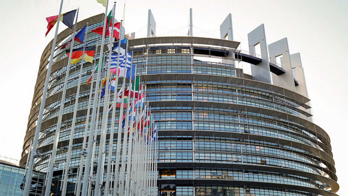 MEP Ivaylo Valchev: All Bulgarian MEPs are united on the North Macedonia issue