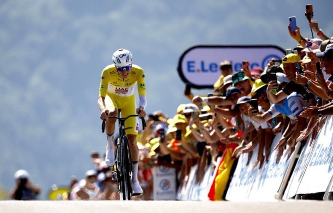 Тадей Погачар