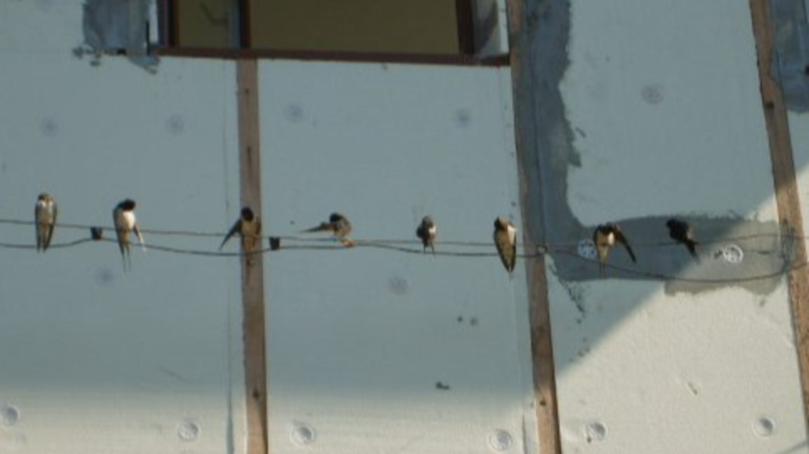 Как да говорим с децата за тревожни съби...