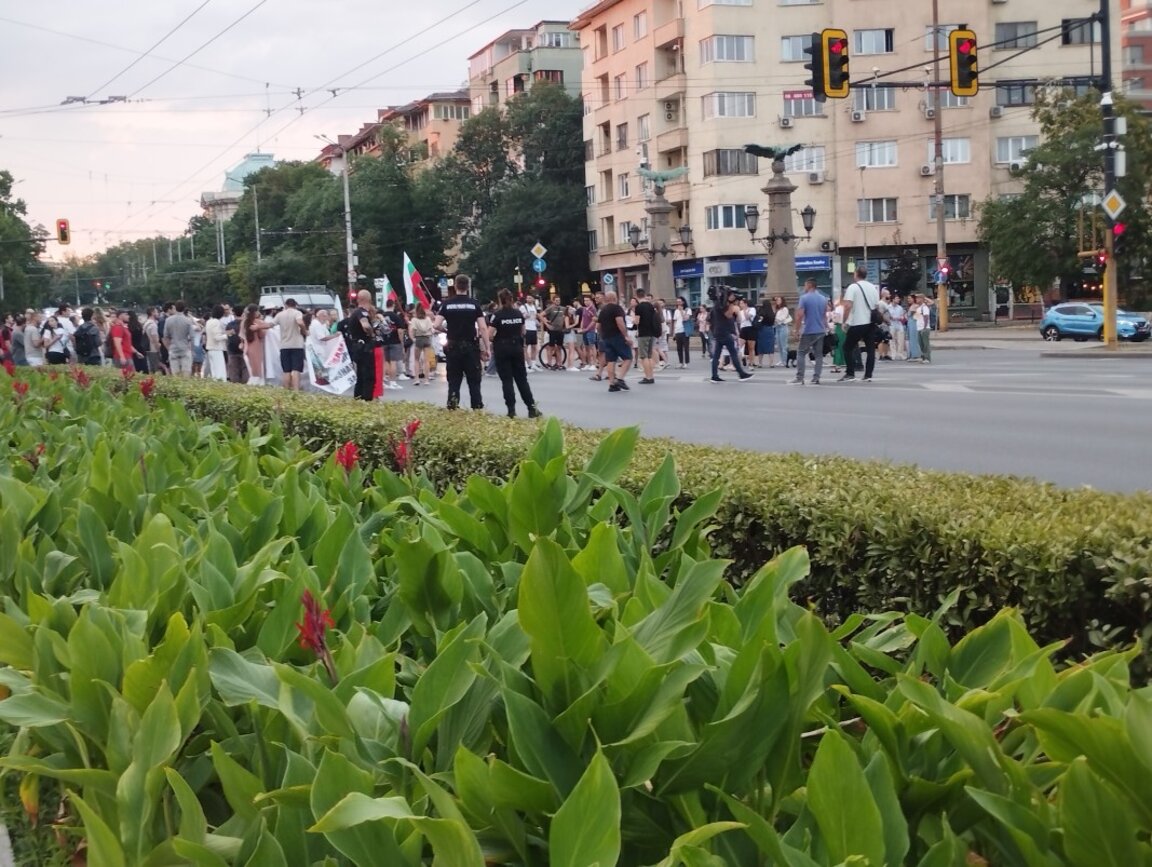 Национален протест на младите лекари от инициативата "Бъдеще в България" (обновена)
