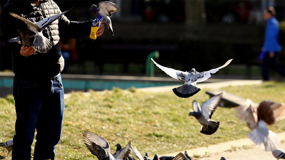 Parashikimi i motit për 22 shkurtin