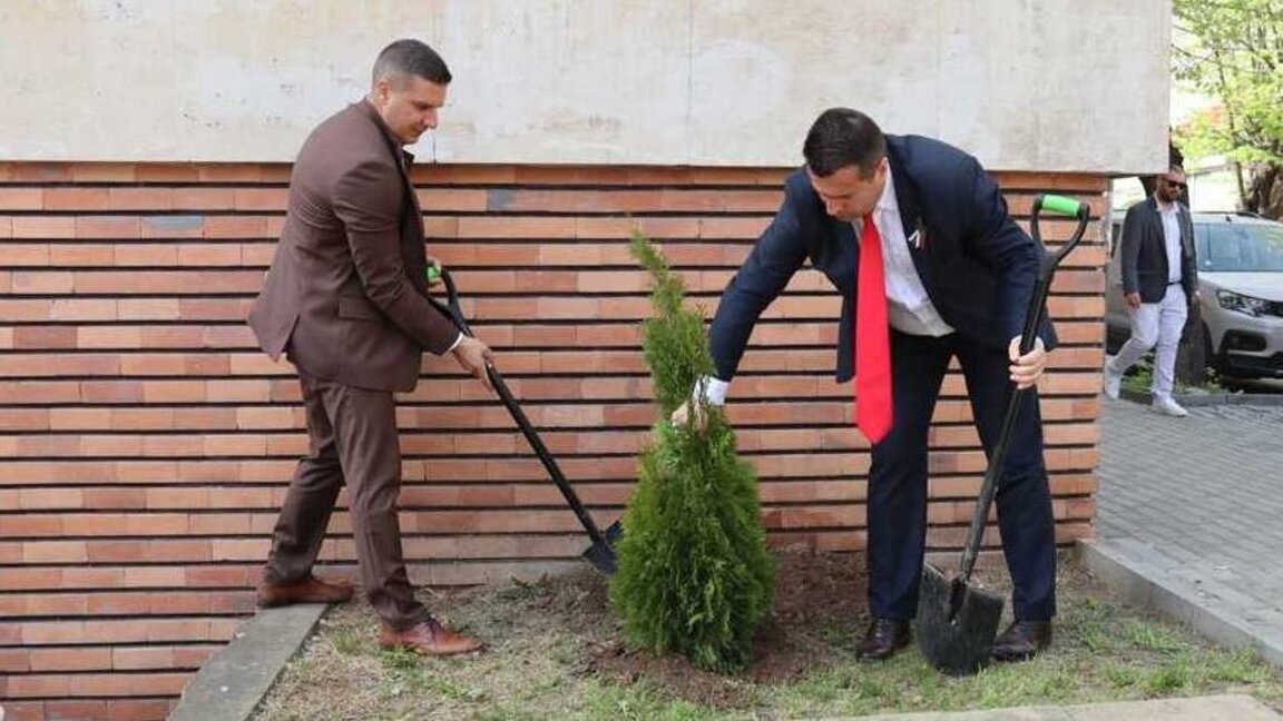 Në 145 vjet në Bullgari janë ripyllëzuar 18 milionë hektarë me pyje të reja