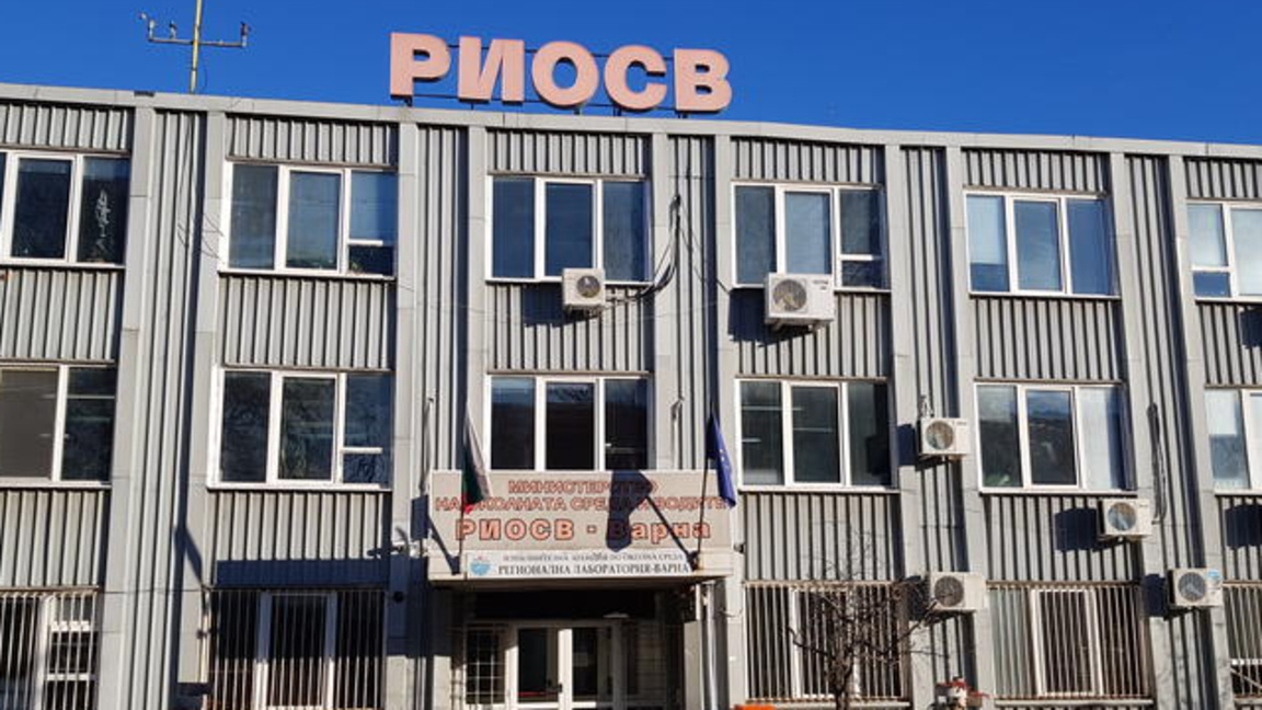 РИОСВ проверява сигнали за намерени мъртви птици по крайбрежието на Шабла