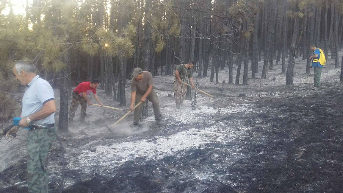Горски работници гасят пожар край село Ловец, община Върбица
