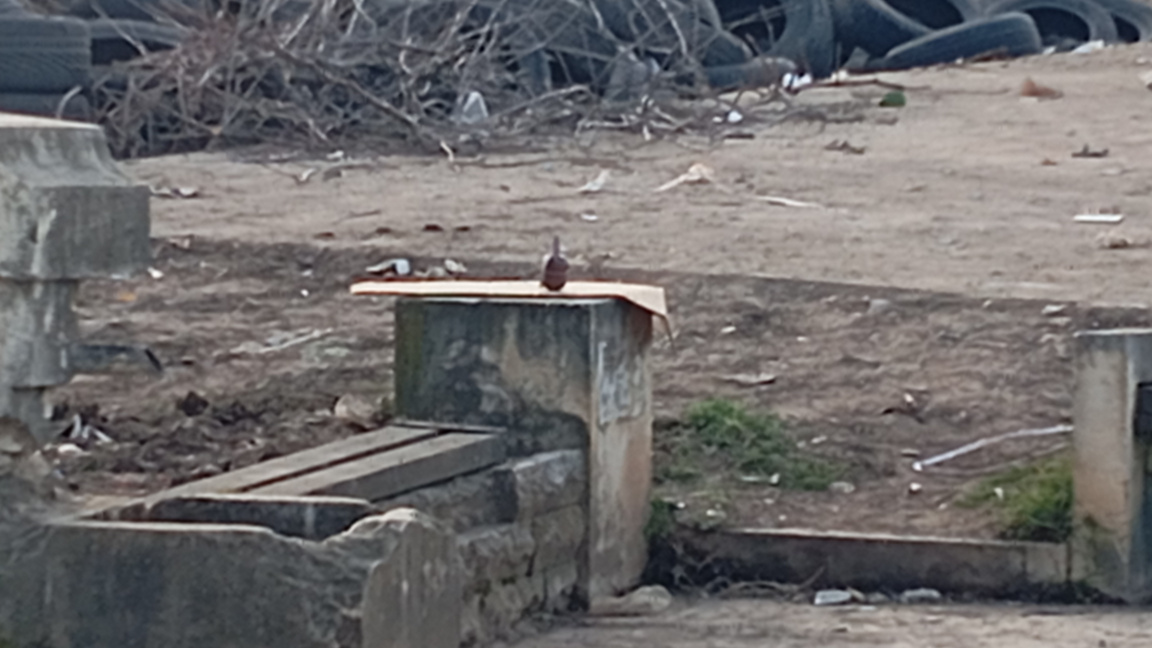 Клошар откри граната на сметище в Монтана 