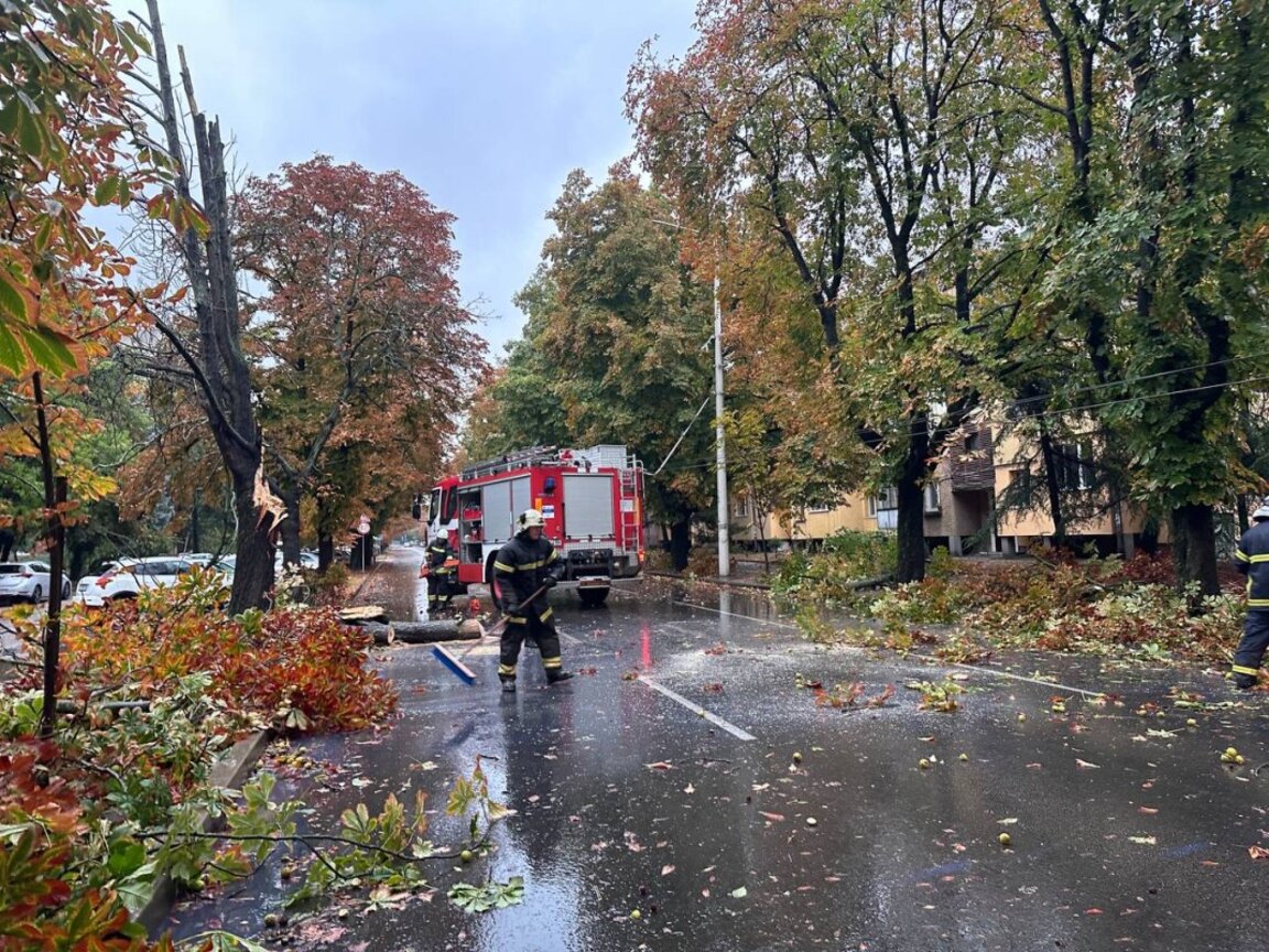 Силен вятър и прекършени дървета в Русе