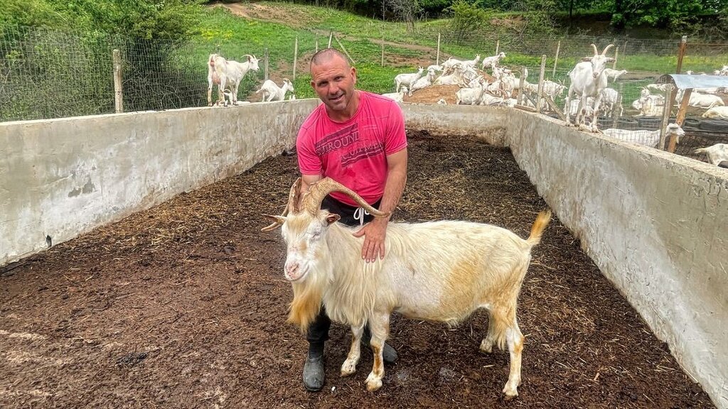 Фармер из ината: Како Димитар из села Турија успева да гаји 120 коза упркос бирократским препрекама