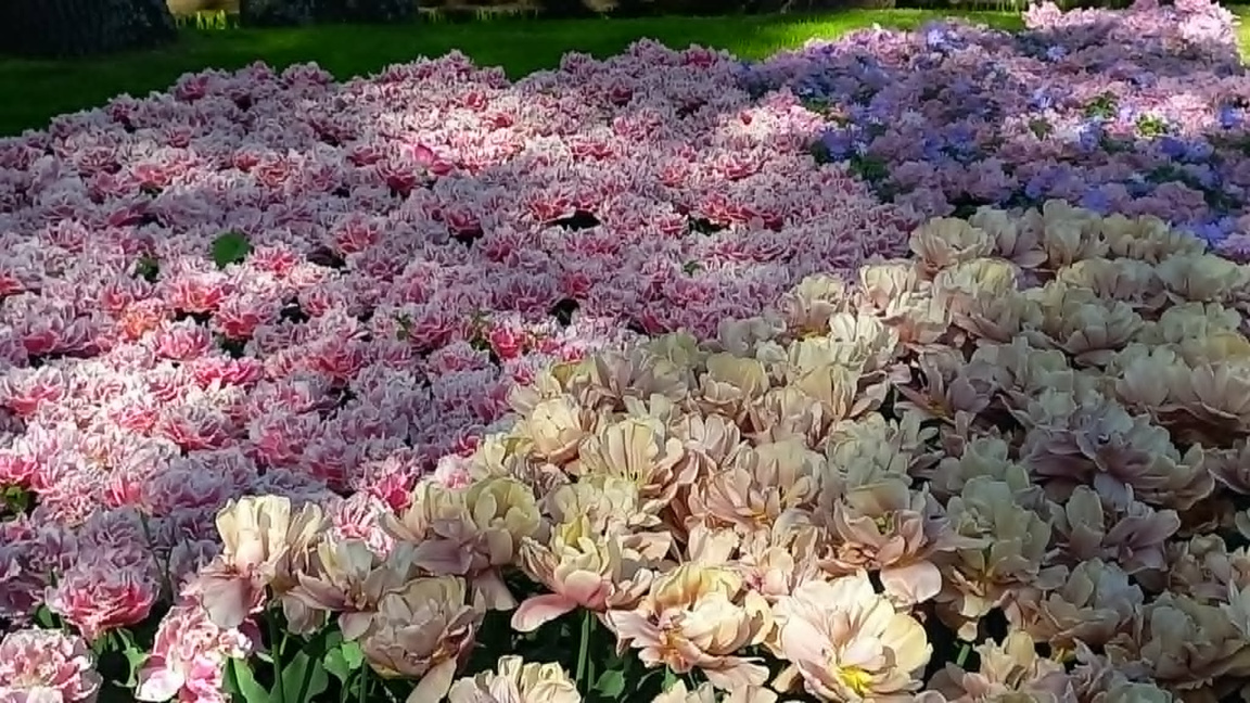 С Радио Шумен и в четвъртък