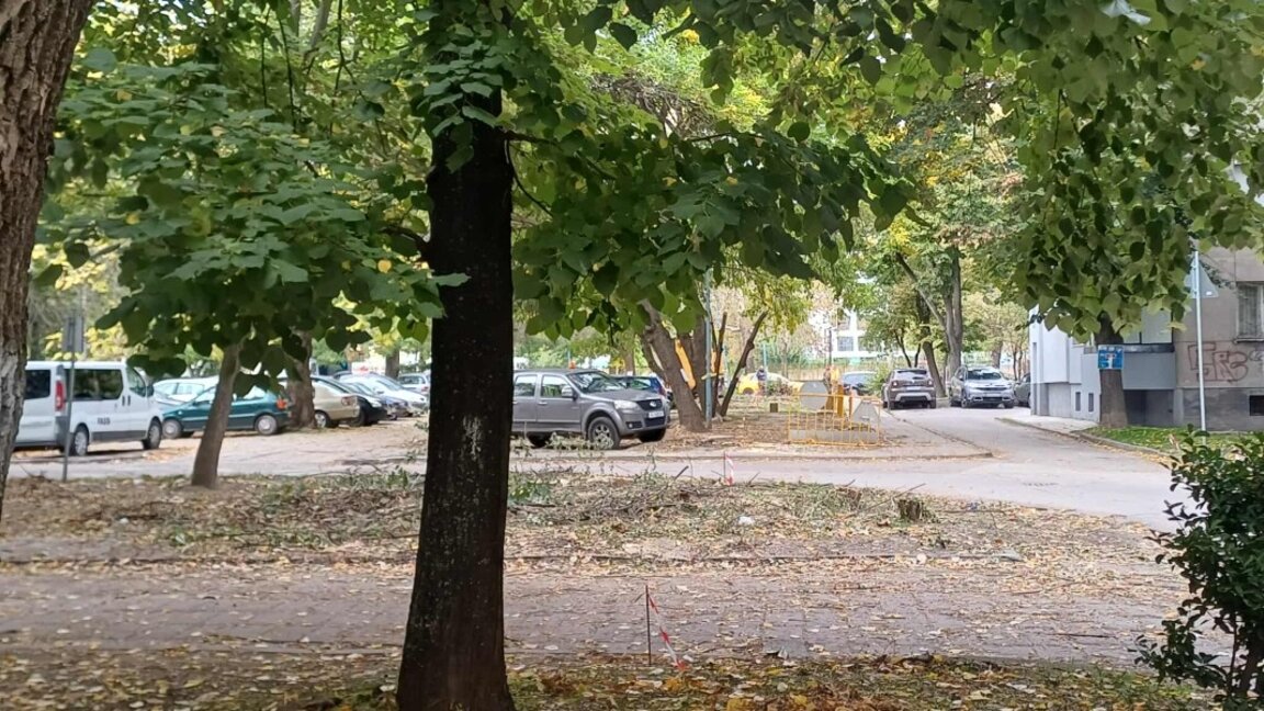 Изсичат 16 дървета на ул. "Леденика", залесяват с нови 39