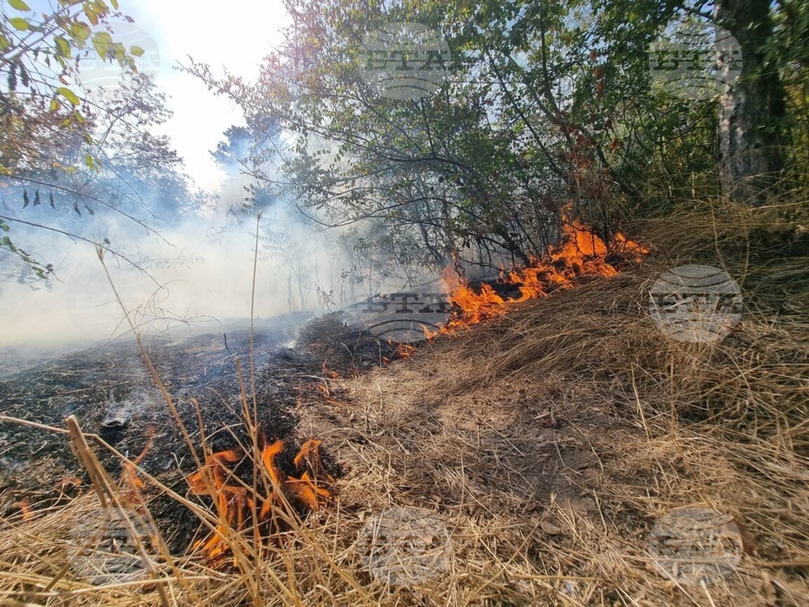 Военни от Сухопътните войски гасят пожара в Рила
