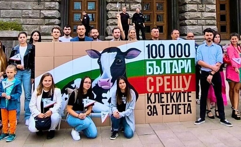 100 000 българи подкрепиха петицията срещу клетките за телета