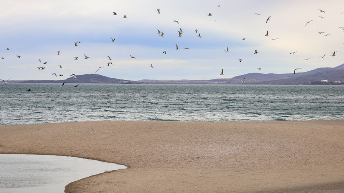 Sunny weather with temperatures reaching up to 12°C