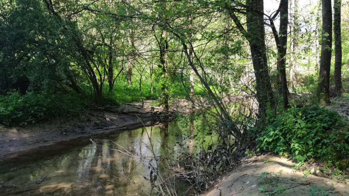 Доброволци ще възстановяват кладенчето в село Чичил