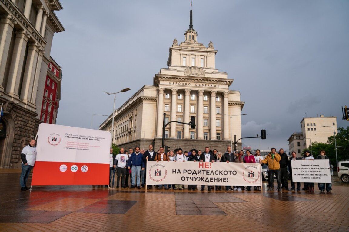 Митинг в поддержку "совместного родительства"