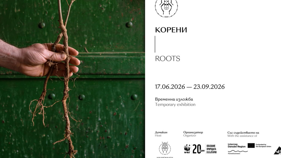 "Корени" - изложба за връзката ни с природата