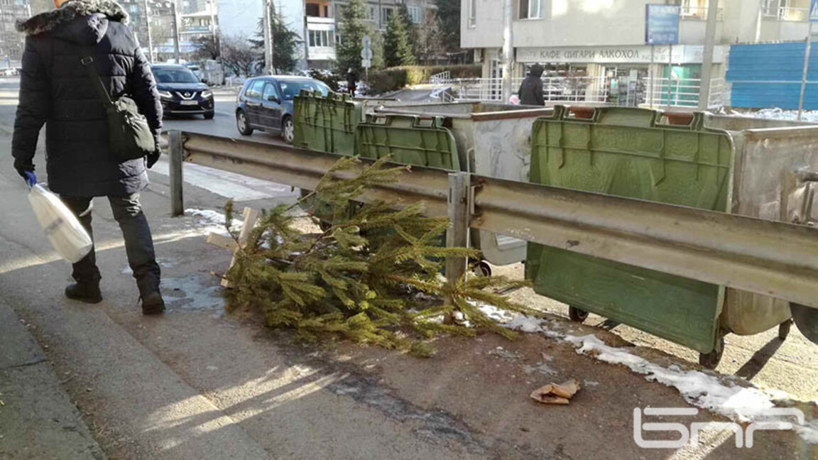 В София през януари са събрани 1066 т зелени отпадъци, от тях 9 т са елхи