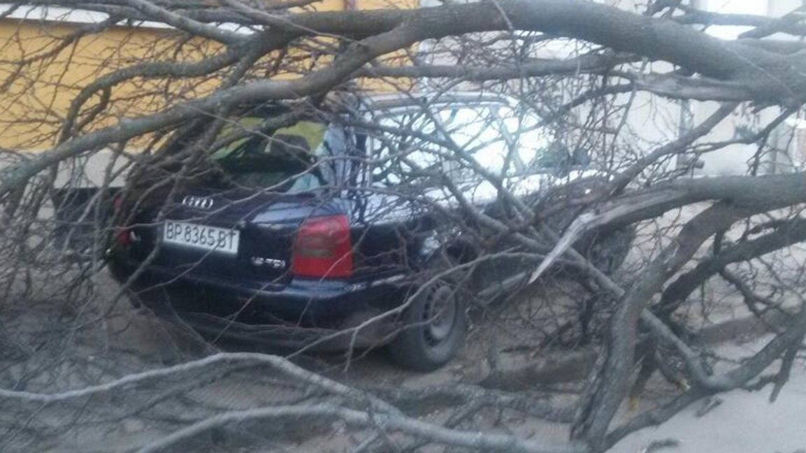 Снимката е илюстративна