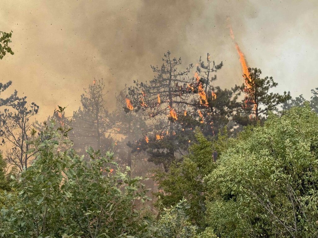 „Събуди деня“ с Биляна Славчева