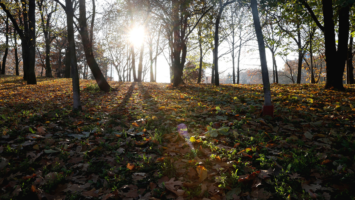 Добри условия за туризъм в планините