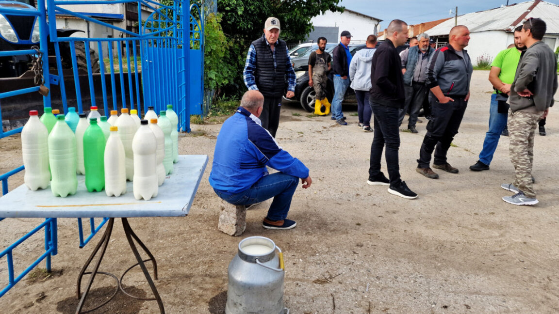 Въвеждат ограничение за изкупуване на сурово мляко в област Хасково