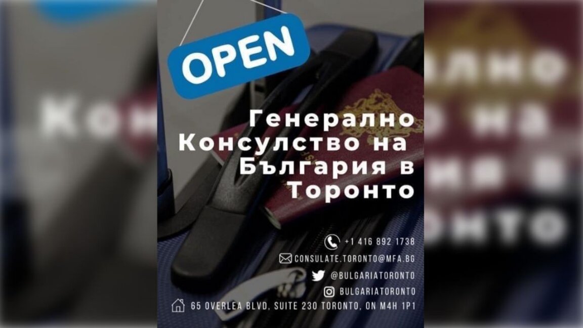 Βουλγάρικα τριαντάφυλλα φυτεύουν δίπλα στον Καταρράκτη του Νιαγάρα
