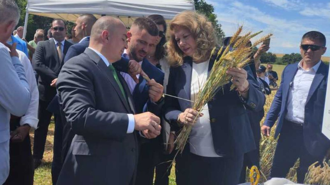 Agriculture Minister Abrovsky expects strong grain harvest