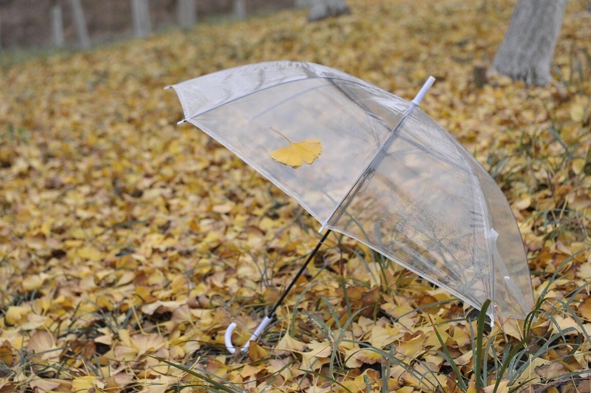 Времето ще се задържи облачно и с валежи от дъжд