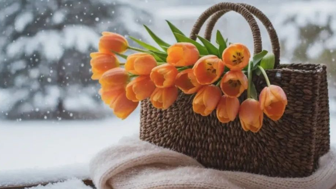 Очаквайте в „Ева в неделя“ от 10 до 12 часа!