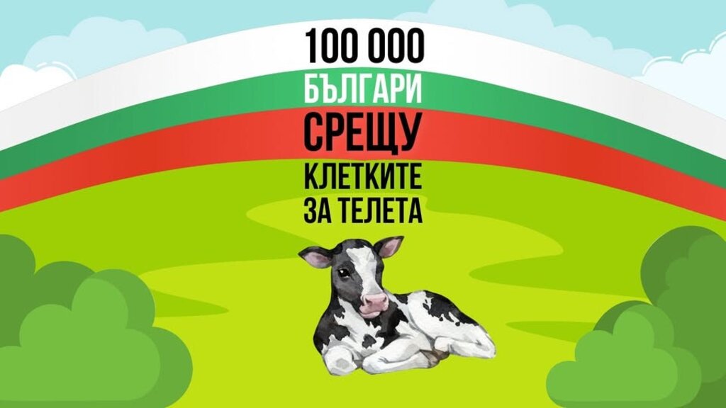 Внасят петиция в НС срещу клетките за телета